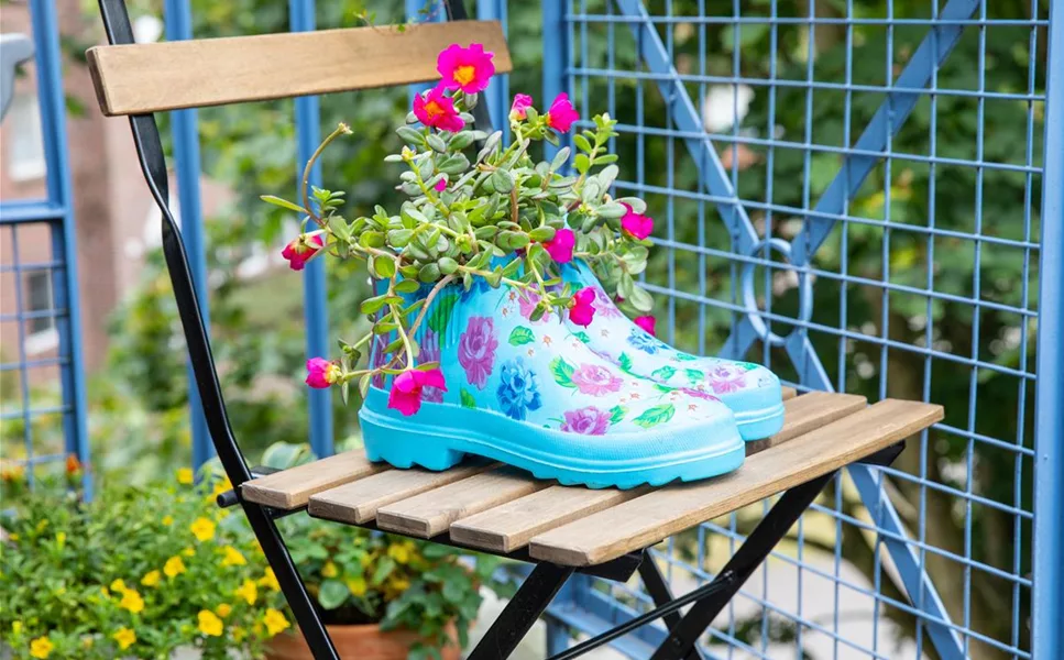 Pflanz- und Pflegeanleitungen - Wissenswertes zu Pflanzen und deren Pflege