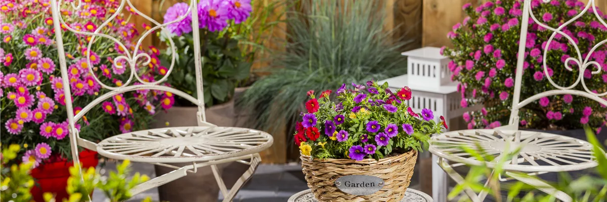 Terrasse mit bunten Sommerblumen