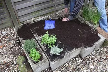 Kräuter - Einsetzen in Pflanzsteine