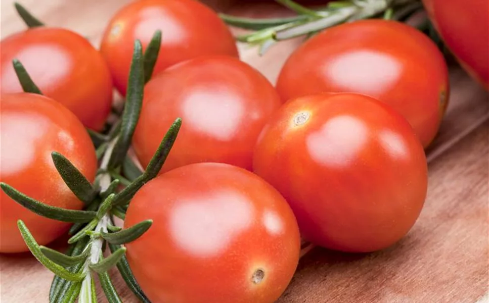 Nutzgarten - Leckereine aus dem Garten!