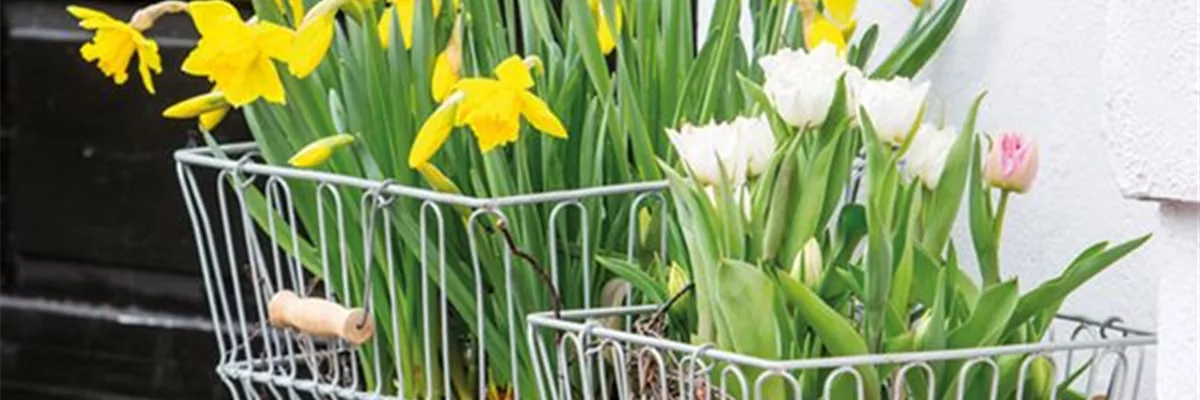 Frühlingsausstellung