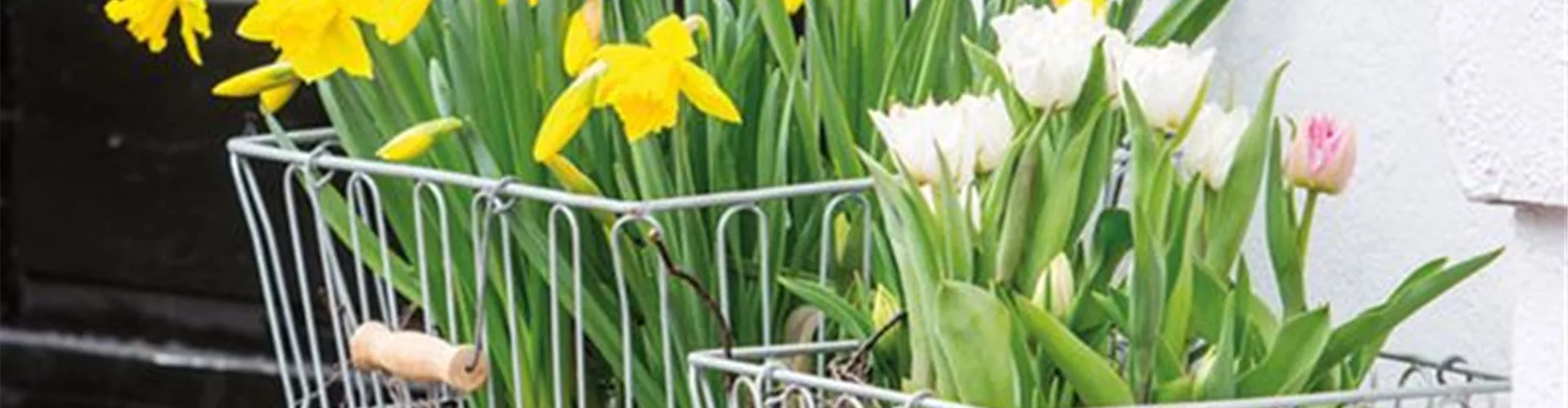 Frühlingsausstellung