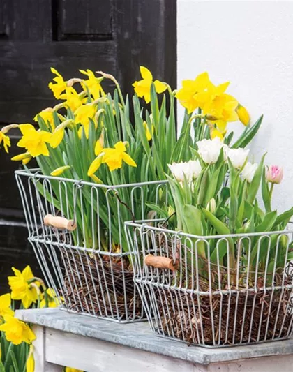 Frühlingsausstellung