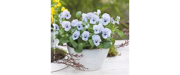 10 IDEEN ZUM VALENTINSTAG