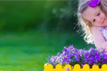 Grünschnabel Grünschnabel