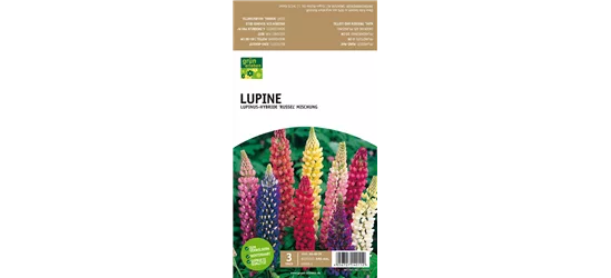 Lupine