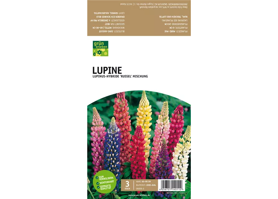 Lupine