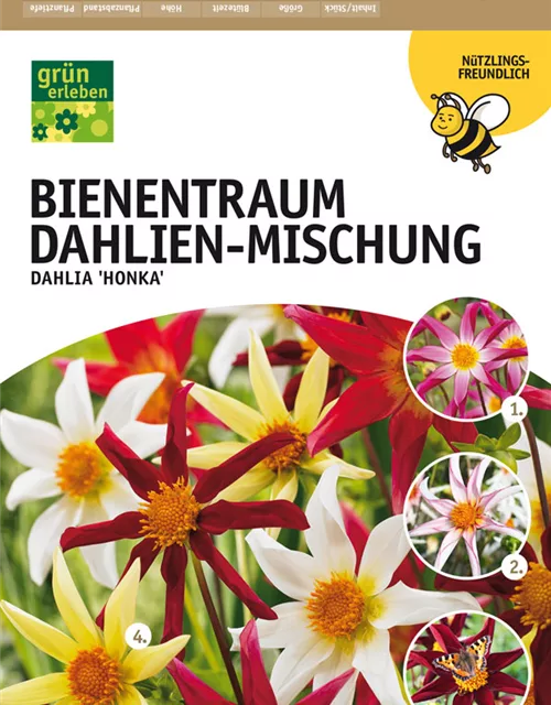 Bienentraum Dahlien-Mischung