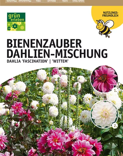 Bienenzauber Dahlien-Mischung