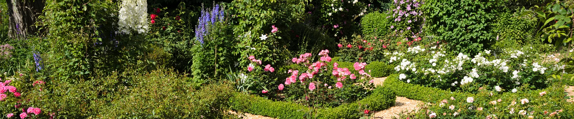 ROSEN & IHRE BEGLEITER!