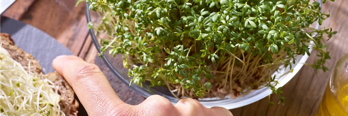 Grüner Daumen trifft Gartenjahr