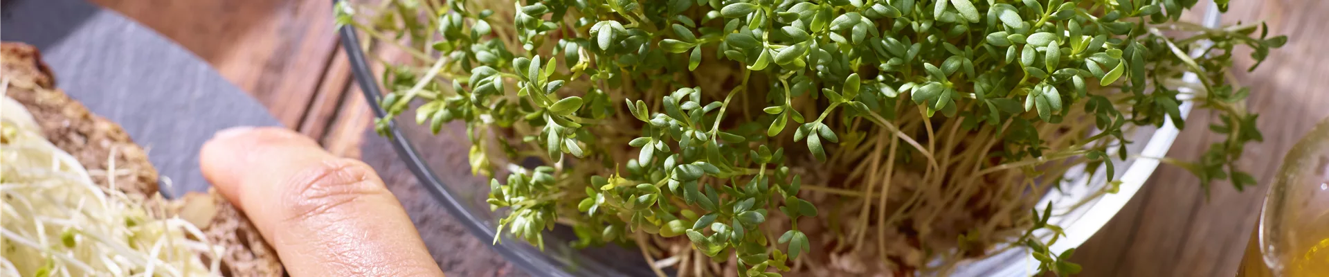 Grüner Daumen trifft Gartenjahr
