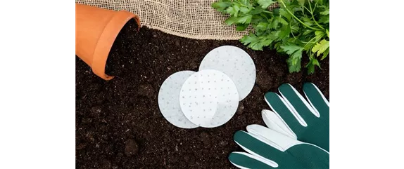 Grüner Daumen trifft Gartenjahr