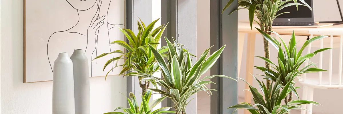 GRÜNES UPDATE FÜR DEIN HOMEOFFICE!