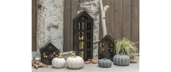 EIN KUNTERBUNTER HERBST!