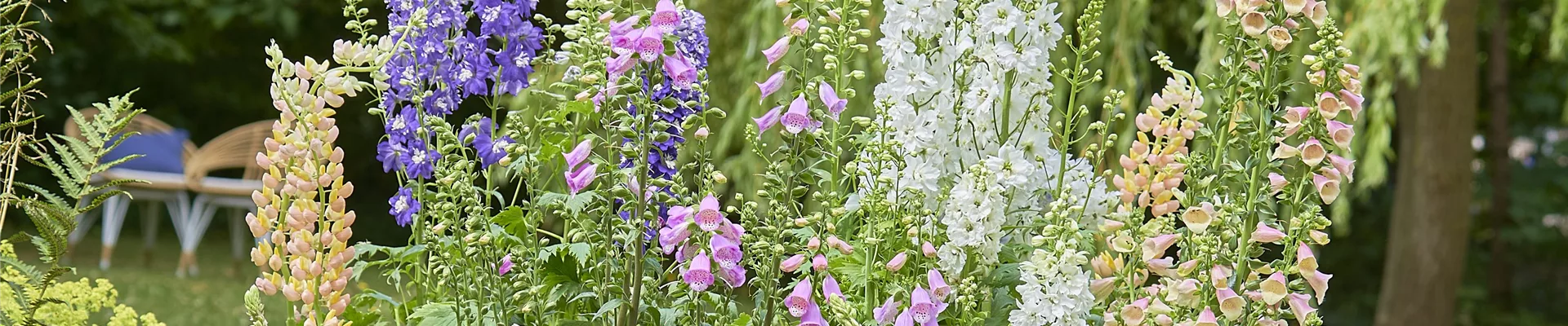 SONNENGARTEN! 