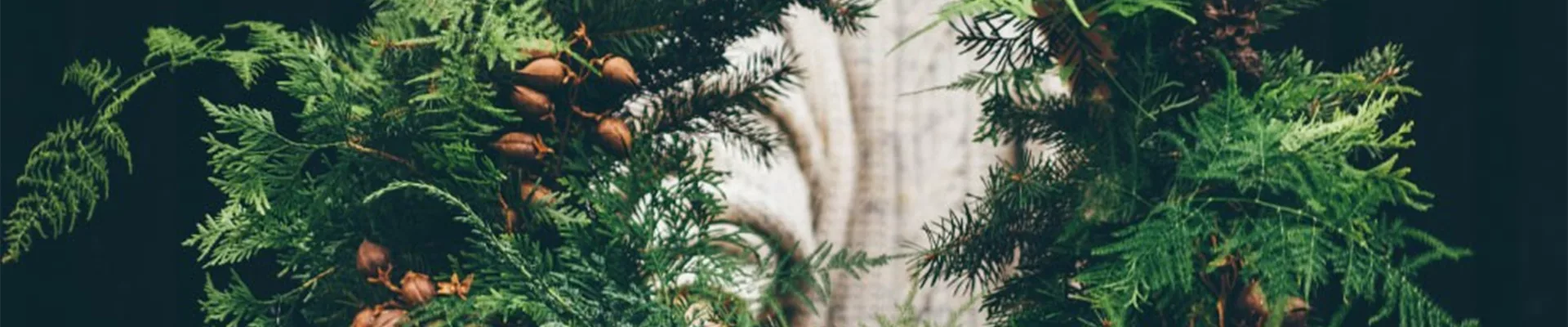 ADVENT, ADVENT – EIN KERZLEIN BRENNT!