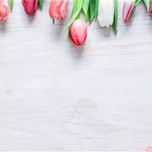 BLUMIGER VALENTINSTAG!