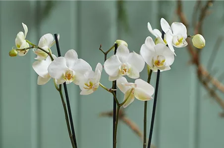 MODERNE WEIHNACHTEN! 