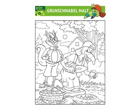 Grünschnabel Malvorlage 6 25