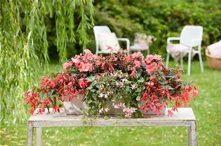 IM TREND: BALKON!