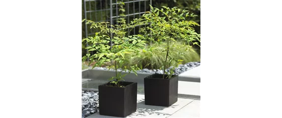 MODERNE ELEGANZ IM GARTEN!