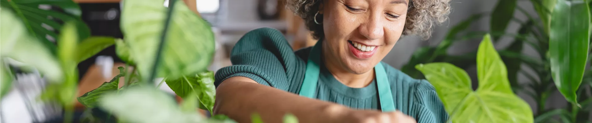 Buch des Monats: Dezember!