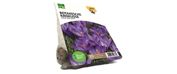 JETZT PFLANZEN, SPäTER STAUNEN!