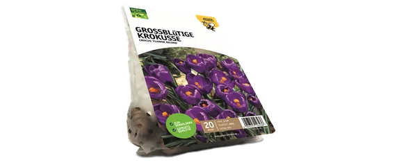 JETZT PFLANZEN, SPäTER STAUNEN!