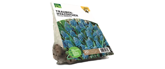 JETZT PFLANZEN, SPäTER STAUNEN!