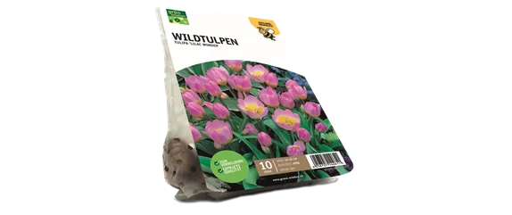 JETZT PFLANZEN, SPäTER STAUNEN!