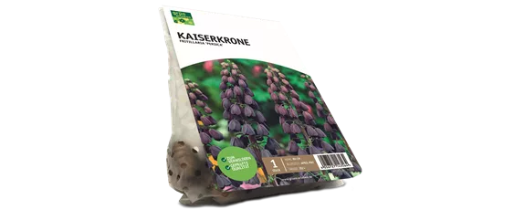 JETZT PFLANZEN, SPäTER STAUNEN!