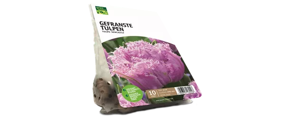 JETZT PFLANZEN, SPäTER STAUNEN!