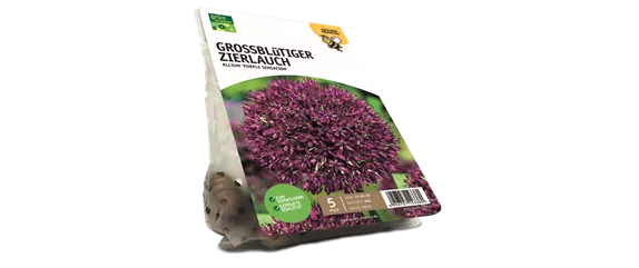 JETZT PFLANZEN, SPäTER STAUNEN!