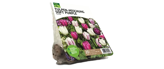 JETZT PFLANZEN, SPäTER STAUNEN!