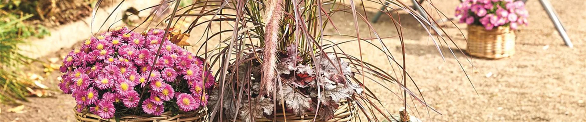 PFLANZ DIR GUTE HERBSTLAUNE!