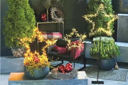 LICHTBLICKE IM WINTER-GARTEN!