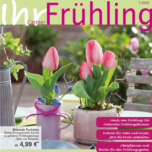 Angebote im Frühling 2020