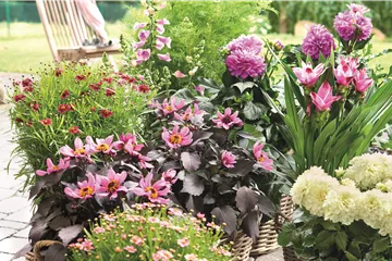 BLÜHENDER GARTEN! AUSDAUERNDE STAUDEN FÜR TERRASSEN UND BEETE. 