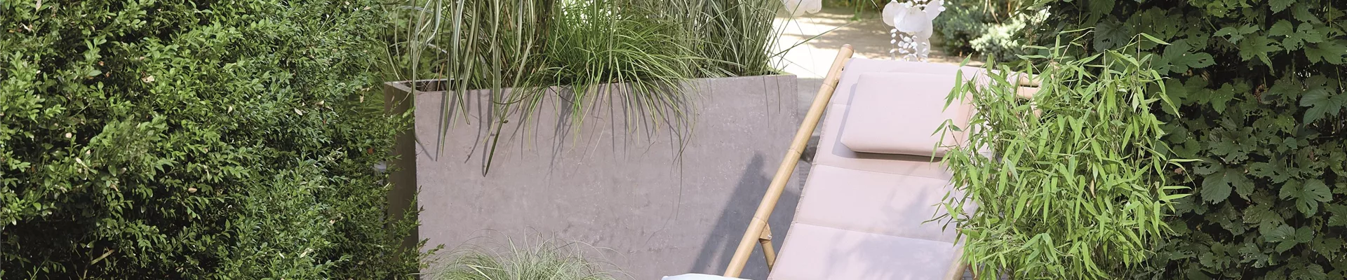 NATÜRLICH SCHÖN! GRÄSER FÜR EIN STILVOLLES GARTENAMBIENTE. 