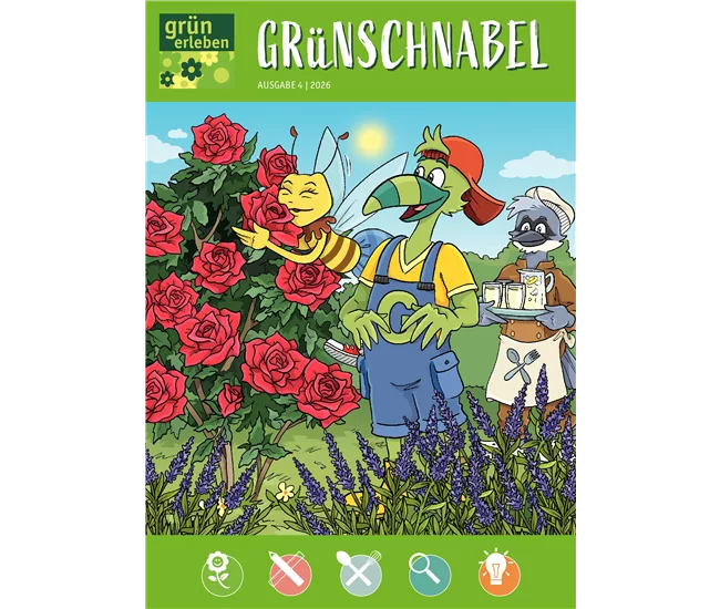 Ausgabe 4 2026